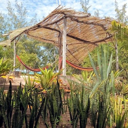 פמבה Nzuwa Lodge מראה חיצוני תמונה